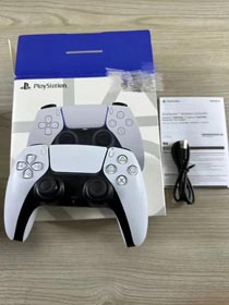 P&S 5 Spielcontroller-0111  