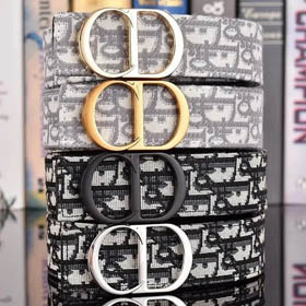 DIOR Gürtel (17+ Stile) -0245  