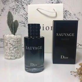 Dior Parfüm (30+ Stil) - 0266  