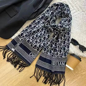 Louis Vuitton LV Dior Schal (16 Stile) -0281  