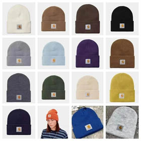 Carhartt Hut (16 Stil)-0289  