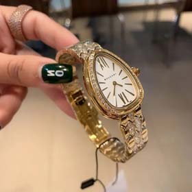 Bvlgari Diamant verpackte Schlange Armband Schlange-förmige Uhr für Frauen (40 Stile) -2089  