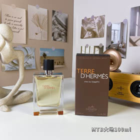 Hermès Terre des Anglaise für Herren-3277