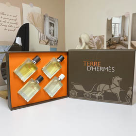 Hermès Terre des Anglaise 4-teiliges Set-3279